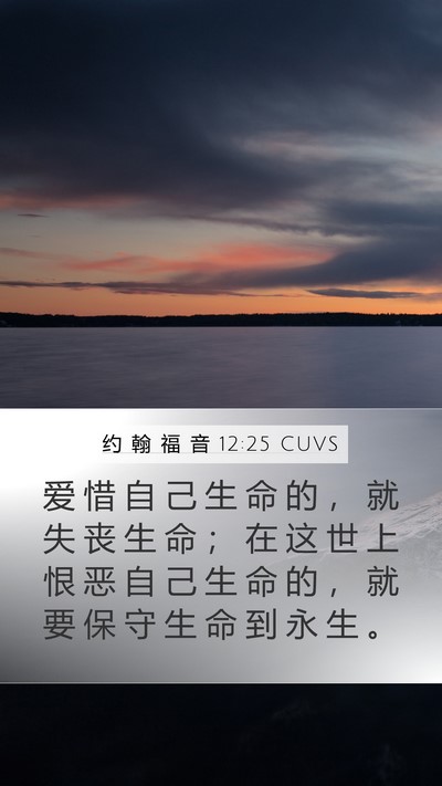 约 翰 福 音 12:25 CUVS Bible Verse Image