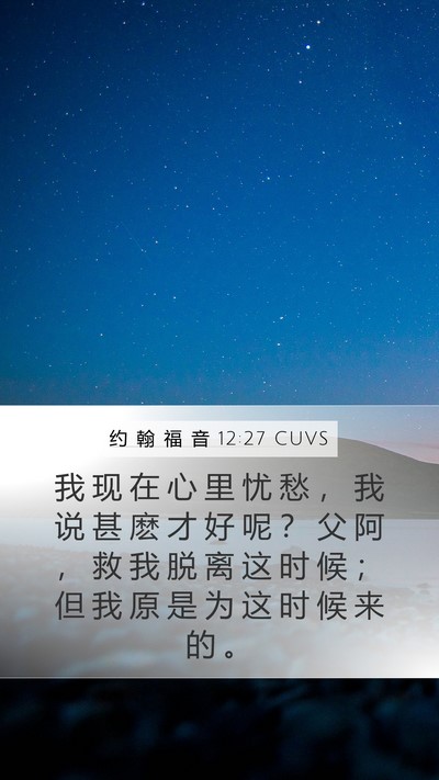 约 翰 福 音 12:27 CUVS Bible Verse Image