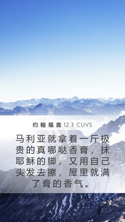 约 翰 福 音 12:3 CUVS Bible Verse Image