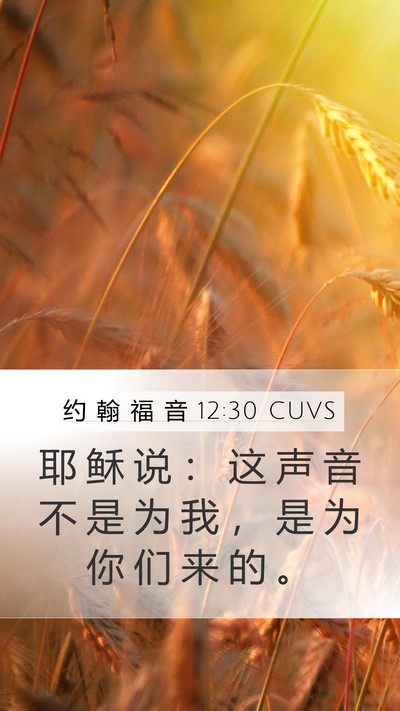 约 翰 福 音 12:30 CUVS Mobile Phone Wallpaper - 耶 稣 说 ： 这 声 音 不 是 为 我 ， - Mobile Bible Verse Wallpaper