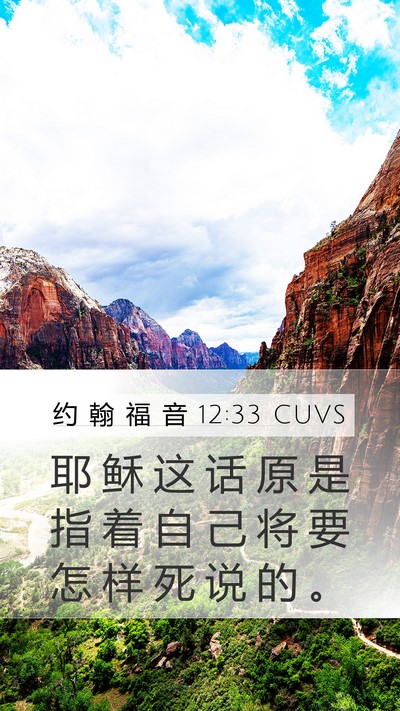 约 翰 福 音 12:33 CUVS Bible Verse Image