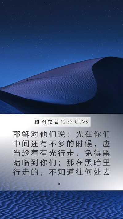 约 翰 福 音 12:35 CUVS Bible Verse Image