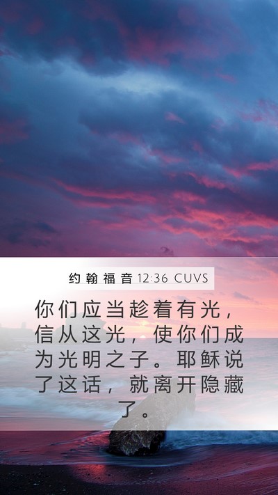 约 翰 福 音 12:36 CUVS Bible Verse Image