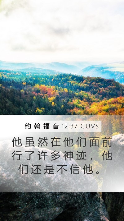 约 翰 福 音 12:37 CUVS Bible Verse Image