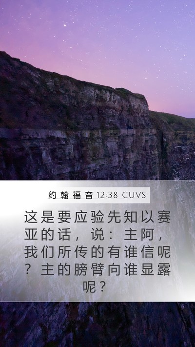 约 翰 福 音 12:38 CUVS Bible Verse Image