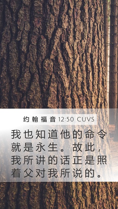约 翰 福 音 12:50 CUVS Bible Verse Image