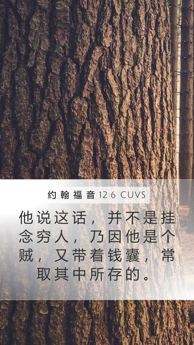 约 翰 福 音 12:6 CUVS Bible Verse Image