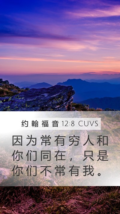 约 翰 福 音 12:8 CUVS Bible Verse Image