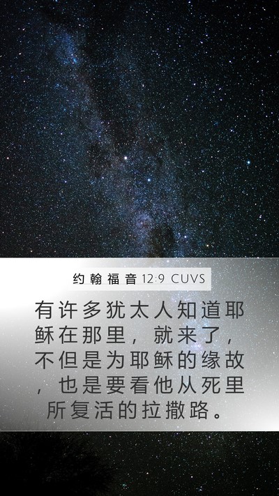 约 翰 福 音 12:9 CUVS Bible Verse Image