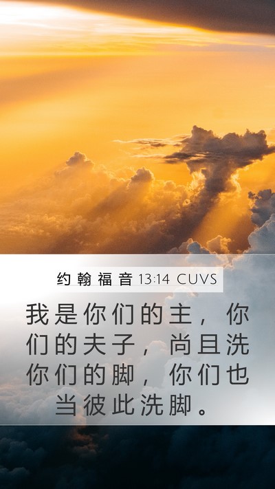 约 翰 福 音 13:14 CUVS Bible Verse Image