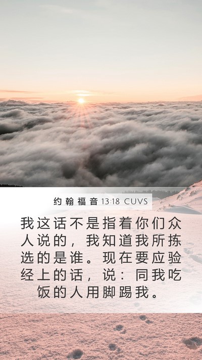 约 翰 福 音 13:18 CUVS Bible Verse Image