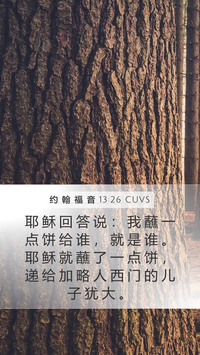 约 翰 福 音 13:26 CUVS Bible Verse Image
