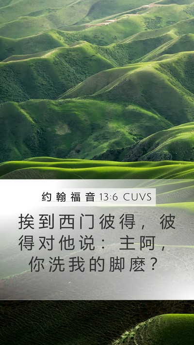 约 翰 福 音 13:6 CUVS Bible Verse Image