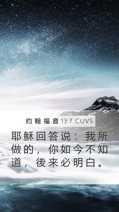 约 翰 福 音 13:7 CUVS Bible Verse Image