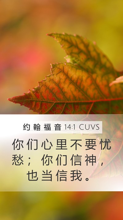 约 翰 福 音 14:1 CUVS Bible Verse Image