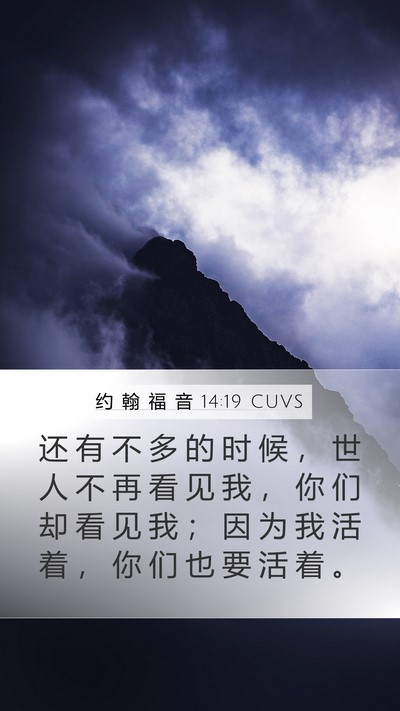 约 翰 福 音 14:19 CUVS Bible Verse Image