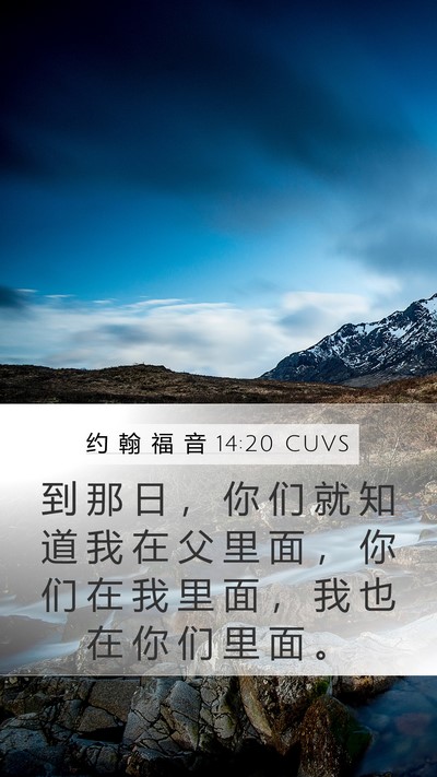 约 翰 福 音 14:20 CUVS Bible Verse Image