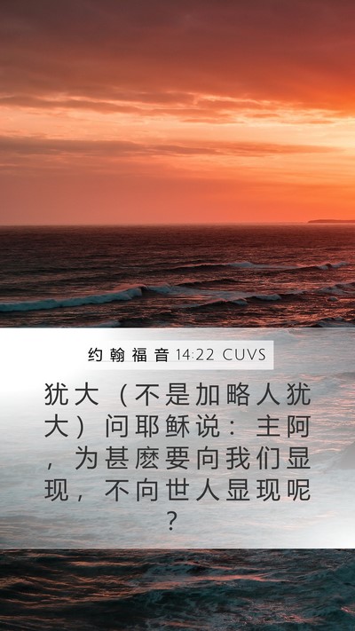 约 翰 福 音 14:22 CUVS Bible Verse Image