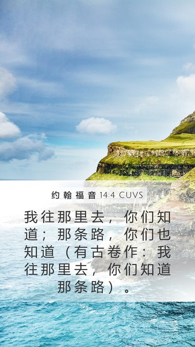 约 翰 福 音 14:4 CUVS Mobile Phone Wallpaper - 我 往 那 里 去 ， 你 们 知 道 ； 那 - Mobile Bible Verse Wallpaper