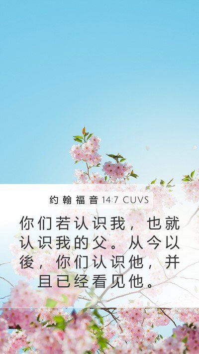 约 翰 福 音 14:7 CUVS Bible Verse Image