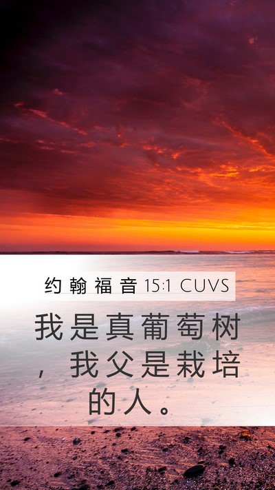 约 翰 福 音 15:1 CUVS Bible Verse Image