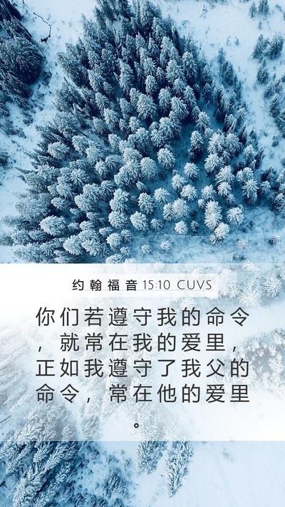 约 翰 福 音 15:10 CUVS Bible Verse Image