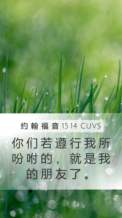 约 翰 福 音 15:14 CUVS Bible Verse Image