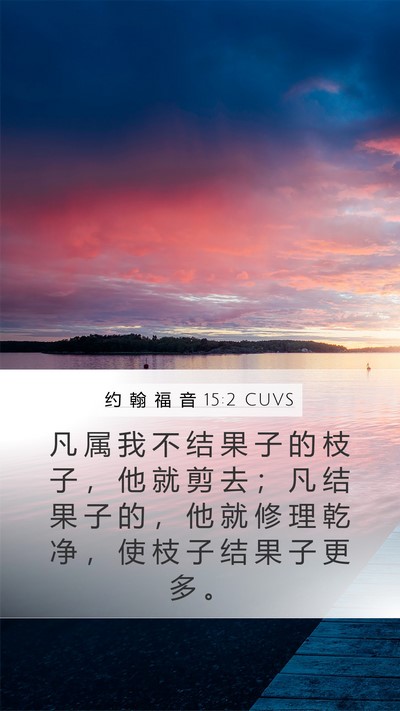 约 翰 福 音 15:2 CUVS Bible Verse Image