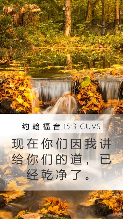 约 翰 福 音 15:3 CUVS Bible Verse Image