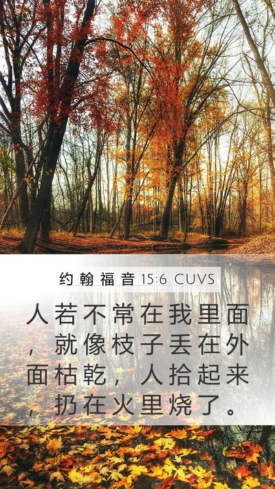 约 翰 福 音 15:6 CUVS Mobile Phone Wallpaper - 人 若 不 常 在 我 里 面 ， 就 像 枝 - Mobile Bible Verse Wallpaper