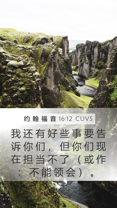约 翰 福 音 16:12 CUVS Bible Verse Image