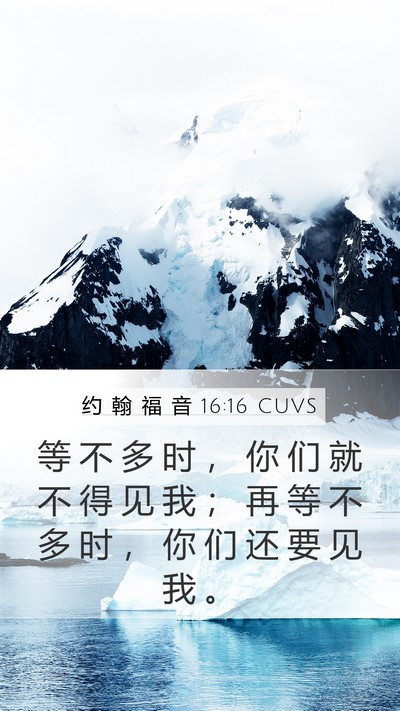 约 翰 福 音 16:16 CUVS Bible Verse Image