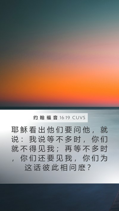 约 翰 福 音 16:19 CUVS Bible Verse Image