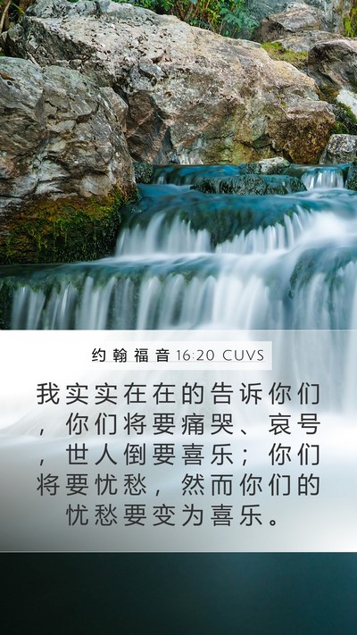 约 翰 福 音 16:20 CUVS Bible Verse Image