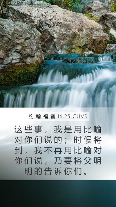 约 翰 福 音 16:25 CUVS Bible Verse Image