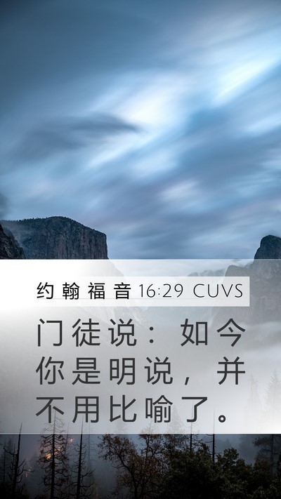约 翰 福 音 16:29 CUVS Bible Verse Image