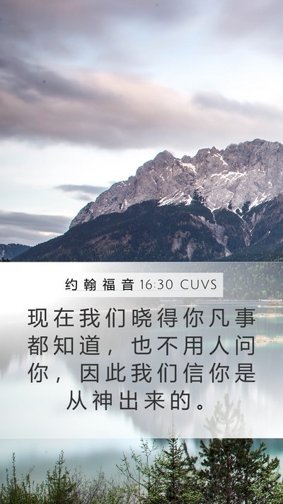 约 翰 福 音 16:30 CUVS Bible Verse Image