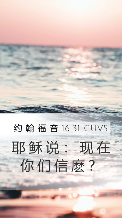 约 翰 福 音 16:31 CUVS Mobile Phone Wallpaper - 耶 稣 说 ： 现 在 你 们 信 麽 - Mobile Bible Verse Wallpaper