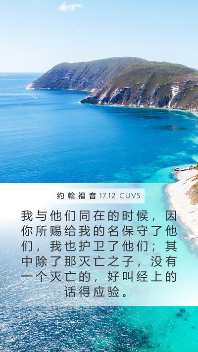约 翰 福 音 17:12 CUVS Bible Verse Image