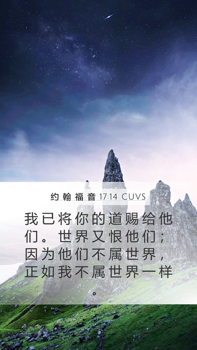 约 翰 福 音 17:14 CUVS Bible Verse Image