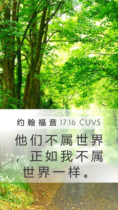 约 翰 福 音 17:16 CUVS Bible Verse Image