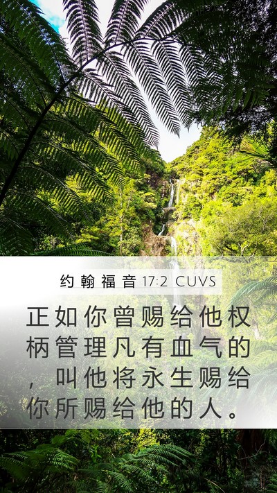 约 翰 福 音 17:2 CUVS Bible Verse Image