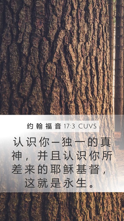 约 翰 福 音 17:3 CUVS Bible Verse Image