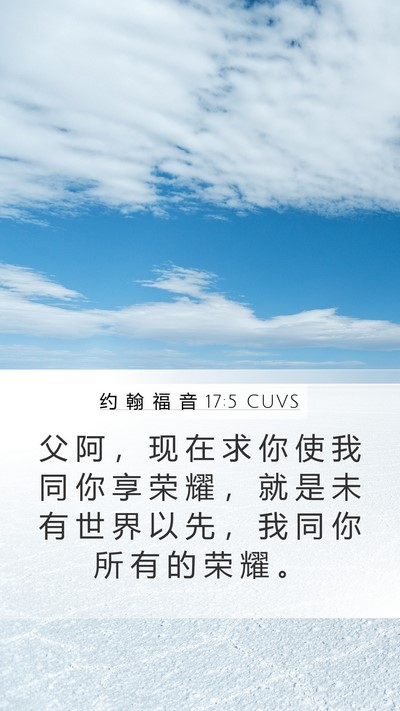 约 翰 福 音 17:5 CUVS Bible Verse Image