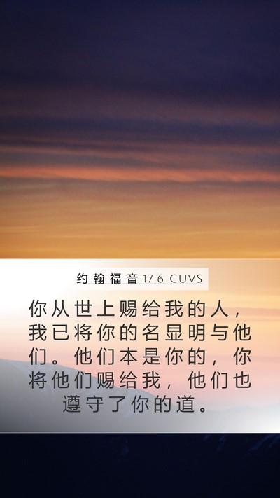 约 翰 福 音 17:6 CUVS Mobile Phone Wallpaper - 你 从 世 上 赐 给 我 的 人 ， 我 已 - Mobile Bible Verse Wallpaper