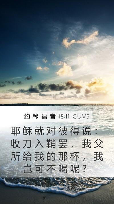 约 翰 福 音 18:11 CUVS Bible Verse Image