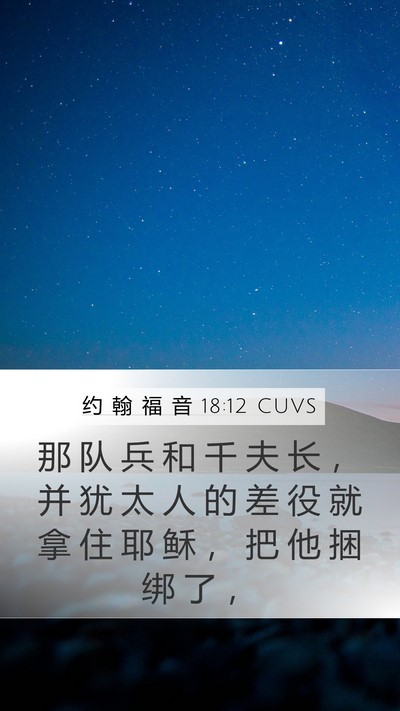 约 翰 福 音 18:12 CUVS Bible Verse Image