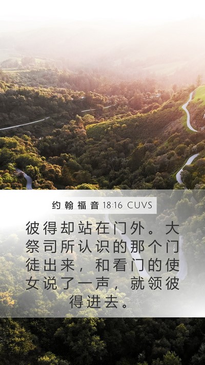 约 翰 福 音 18:16 CUVS Bible Verse Image