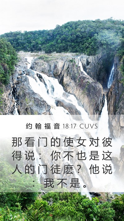 约 翰 福 音 18:17 CUVS Bible Verse Image
