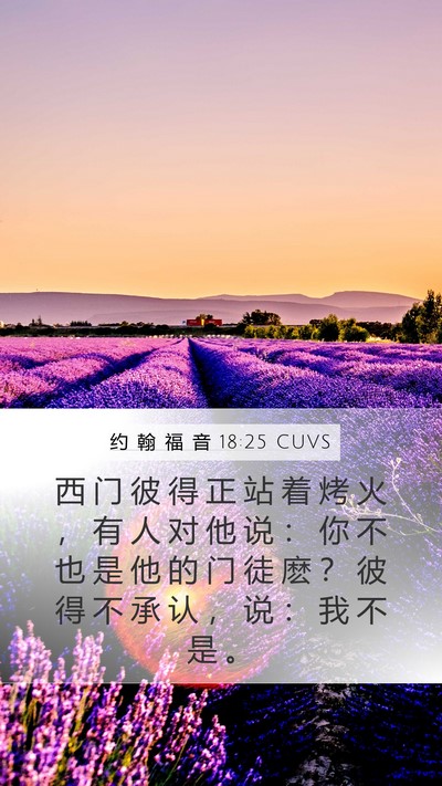 约 翰 福 音 18:25 CUVS Bible Verse Image